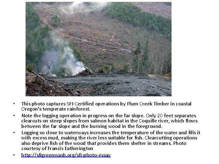  • • This photo captures SFI-Certified operations by Plum Creek Timber in coastal