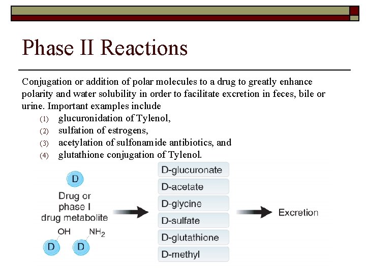 Phase II Reactions Conjugation or addition of polar molecules to a drug to greatly