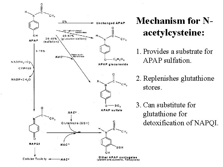 Mechanism for Nacetylcysteine: 1. Provides a substrate for APAP sulfation. 2. Replenishes glutathione stores.