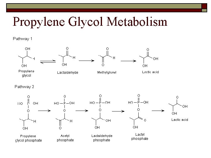 Propylene Glycol Metabolism 