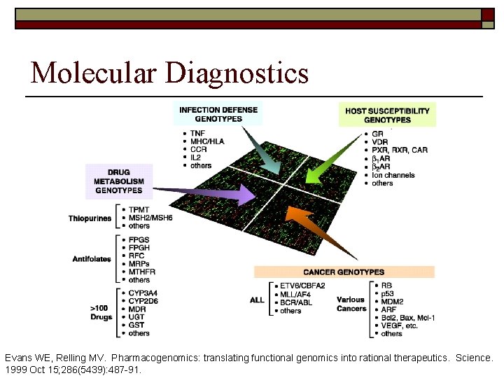 Molecular Diagnostics Evans WE, Relling MV. Pharmacogenomics: translating functional genomics into rational therapeutics. Science.