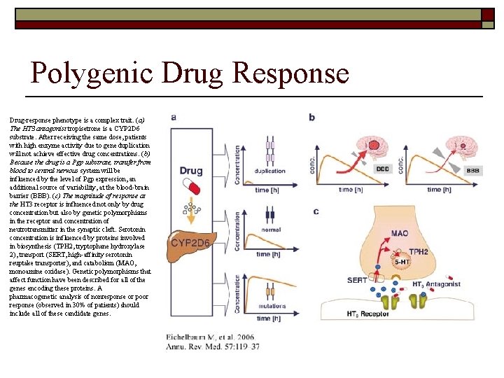 Polygenic Drug Response Drug-response phenotype is a complex trait. (a) The HT 3 antagonist