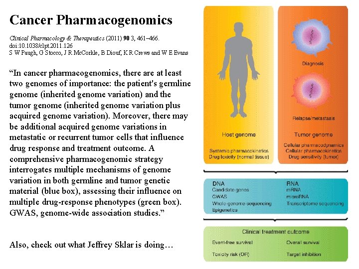 Cancer Pharmacogenomics Clinical Pharmacology & Therapeutics (2011) 90 3, 461– 466. doi: 10. 1038/clpt.
