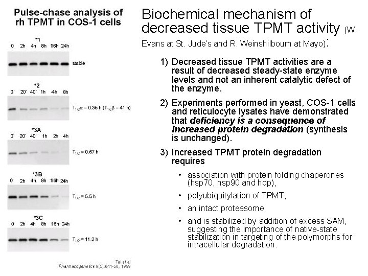 Biochemical mechanism of decreased tissue TPMT activity (W. Evans at St. Jude’s and R.