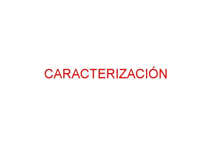 CARACTERIZACIÓN 