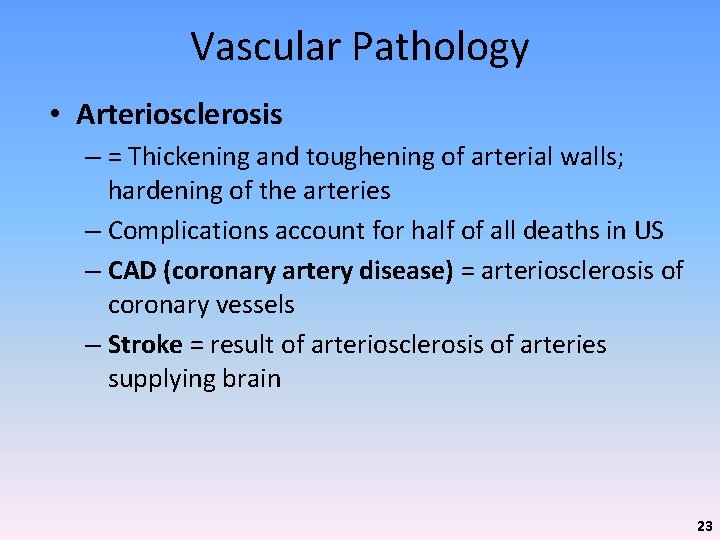 Vascular Pathology • Arteriosclerosis – = Thickening and toughening of arterial walls; hardening of