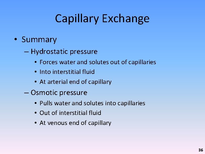 Capillary Exchange • Summary – Hydrostatic pressure • Forces water and solutes out of