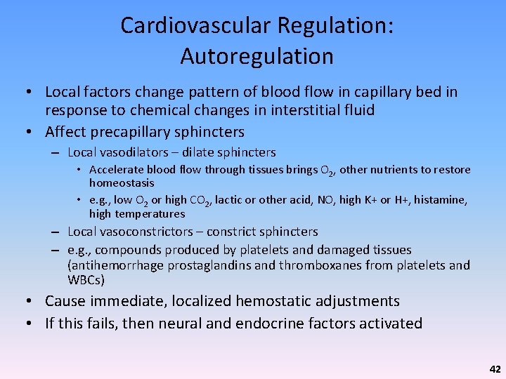 Cardiovascular Regulation: Autoregulation • Local factors change pattern of blood flow in capillary bed