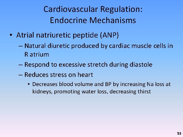 Cardiovascular Regulation: Endocrine Mechanisms • Atrial natriuretic peptide (ANP) – Natural diuretic produced by