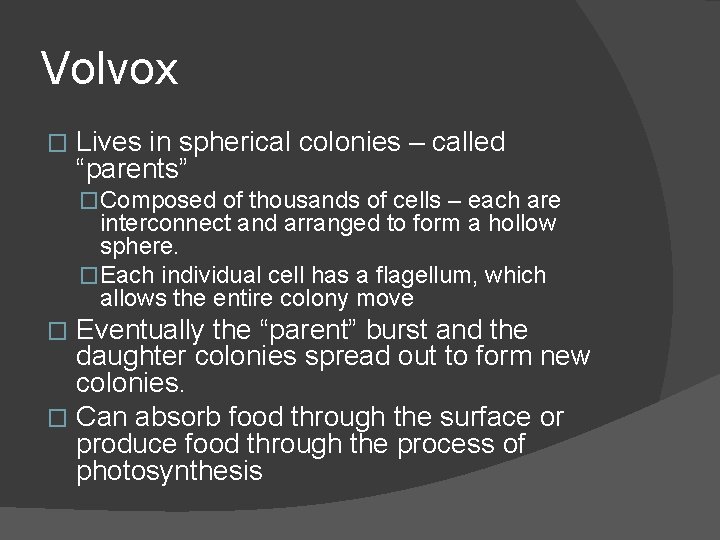 Volvox � Lives in spherical colonies – called “parents” �Composed of thousands of cells