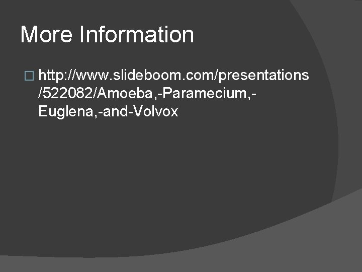 More Information � http: //www. slideboom. com/presentations /522082/Amoeba, -Paramecium, Euglena, -and-Volvox 