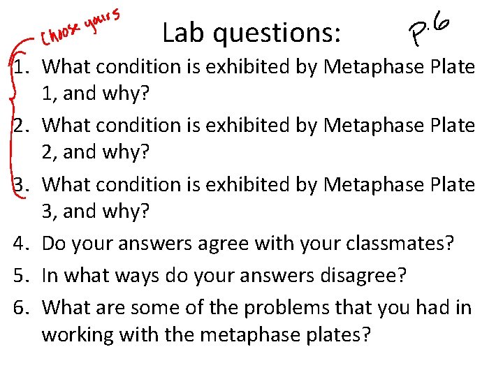 Lab questions: 1. What condition is exhibited by Metaphase Plate 1, and why? 2.