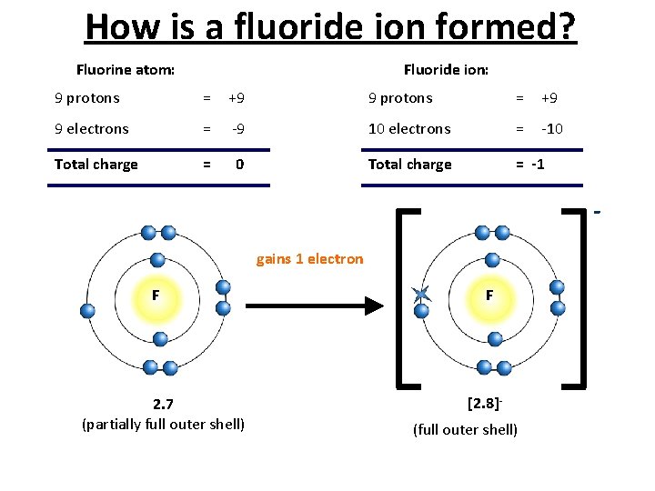 How is a fluoride ion formed? Fluorine atom: Fluoride ion: 9 protons = +9