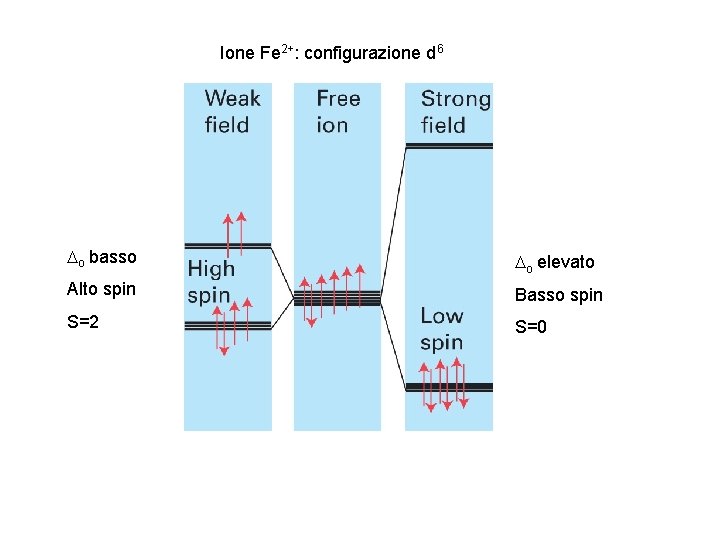 Ione Fe 2+: configurazione d 6 Do basso Do elevato Alto spin Basso spin