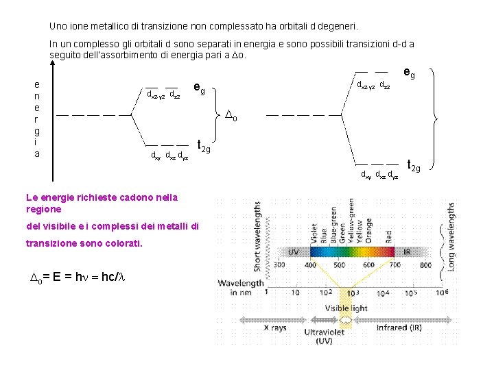 Uno ione metallico di transizione non complessato ha orbitali d degeneri. In un complesso