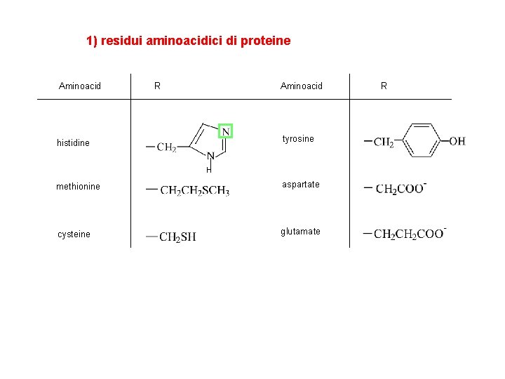 1) residui aminoacidici di proteine Aminoacid R Aminoacid tyrosine histidine H methionine aspartate cysteine