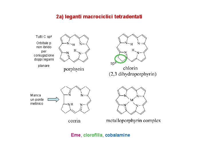 2 a) leganti macrociclici tetradentati Tutti C sp 2 Orbitale p non ibrido per