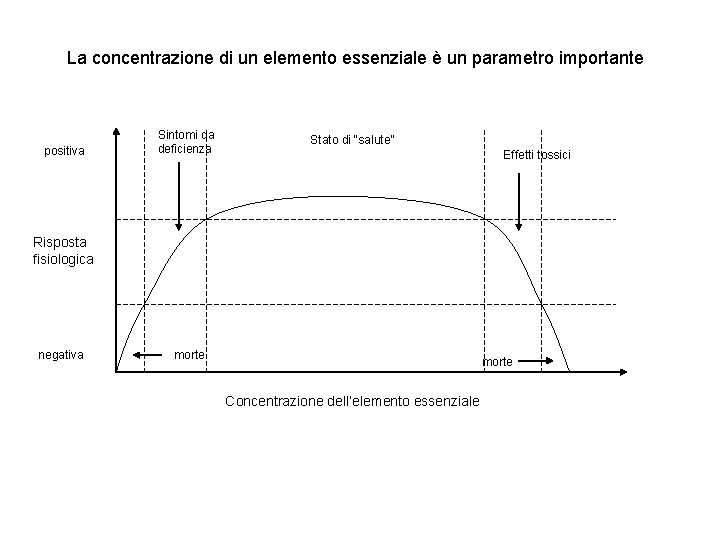 La concentrazione di un elemento essenziale è un parametro importante positiva Sintomi da deficienza