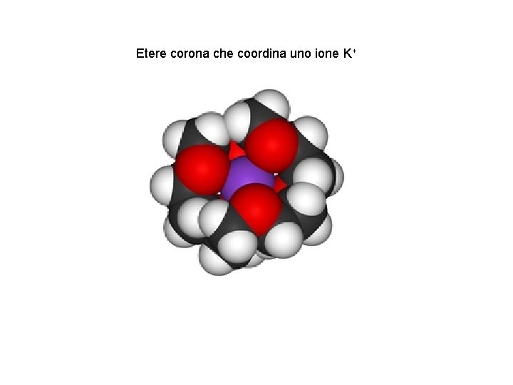 Etere corona che coordina uno ione K+ 