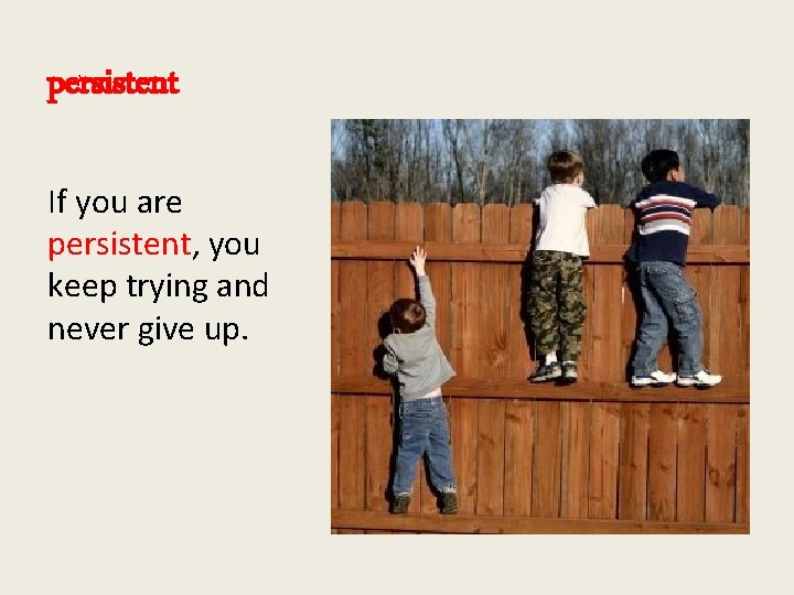 persistent If you are persistent, you keep trying and never give up. 