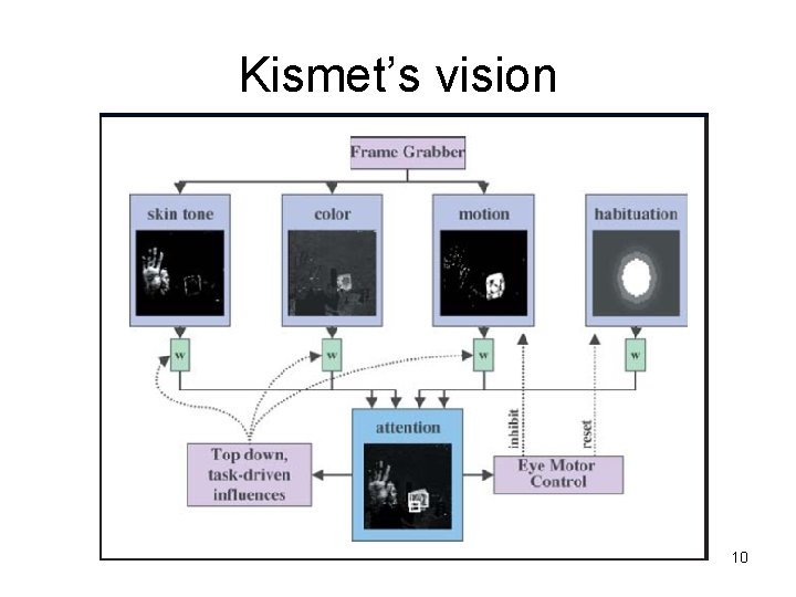 Kismet’s vision 10 