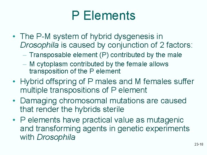 P Elements • The P-M system of hybrid dysgenesis in Drosophila is caused by