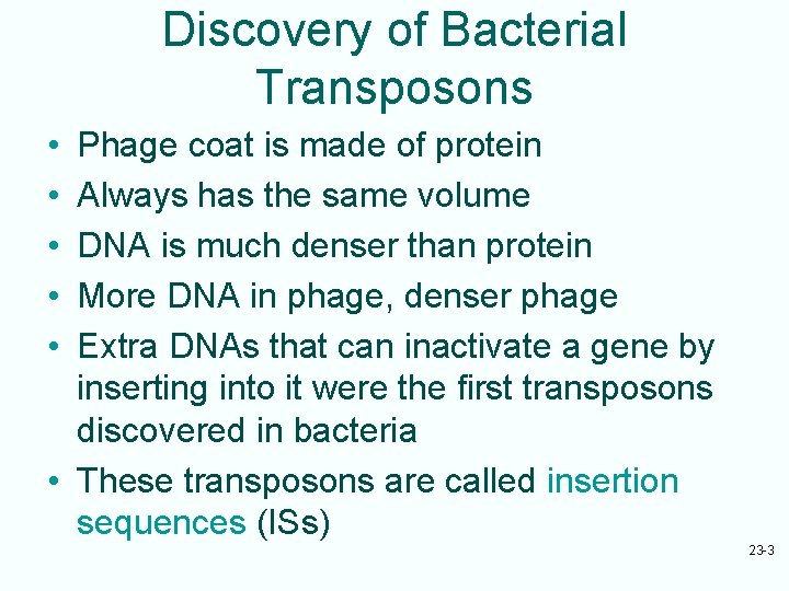 Discovery of Bacterial Transposons • • • Phage coat is made of protein Always