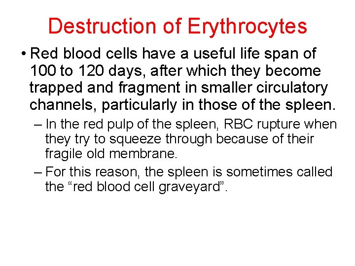 Destruction of Erythrocytes • Red blood cells have a useful life span of 100