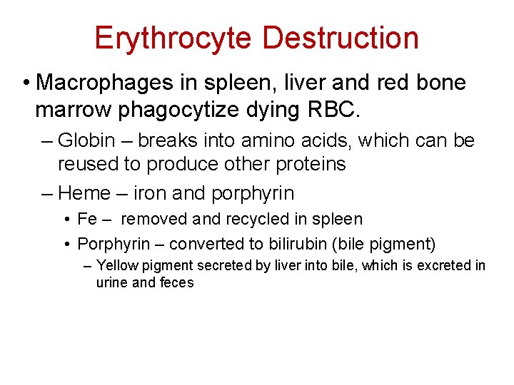Erythrocyte Destruction • Macrophages in spleen, liver and red bone marrow phagocytize dying RBC.