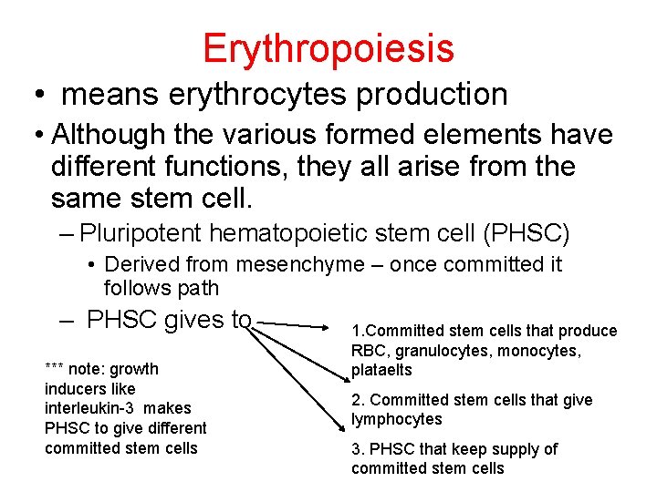 Erythropoiesis • means erythrocytes production • Although the various formed elements have different functions,