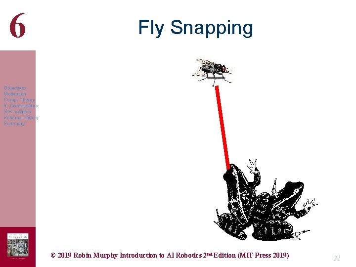 6 Fly Snapping Objectives Motivation Comp. Theory R. Computatrix S-R notation Schema Theory Summary