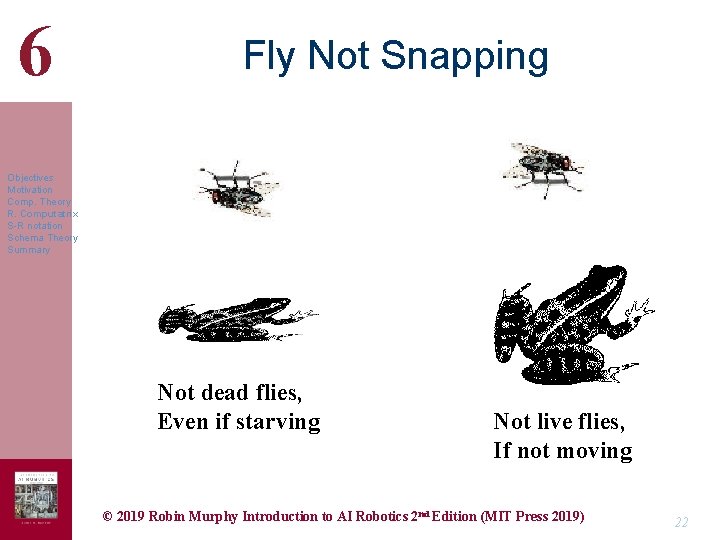 6 Fly Not Snapping Objectives Motivation Comp. Theory R. Computatrix S-R notation Schema Theory
