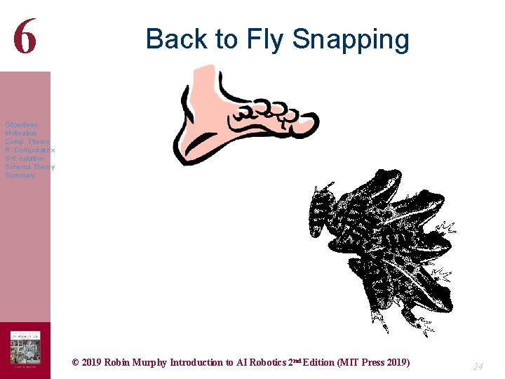 6 Back to Fly Snapping Objectives Motivation Comp. Theory R. Computatrix S-R notation Schema