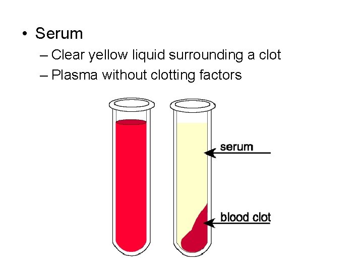  • Serum – Clear yellow liquid surrounding a clot – Plasma without clotting
