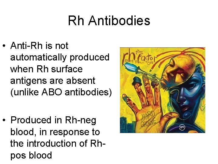 Rh Antibodies • Anti-Rh is not automatically produced when Rh surface antigens are absent