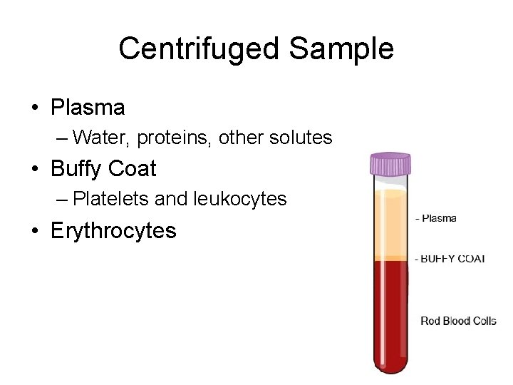Centrifuged Sample • Plasma – Water, proteins, other solutes • Buffy Coat – Platelets