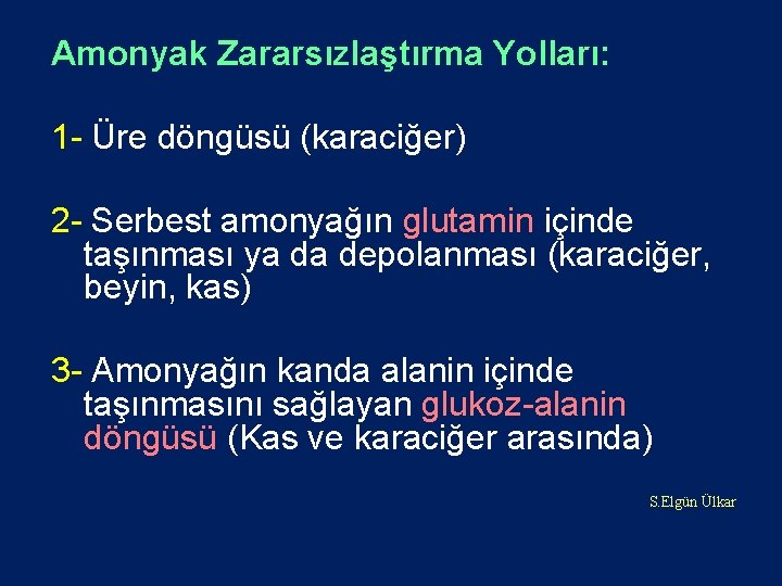 Amonyak Zararsızlaştırma Yolları: 1 - Üre döngüsü (karaciğer) 2 - Serbest amonyağın glutamin içinde