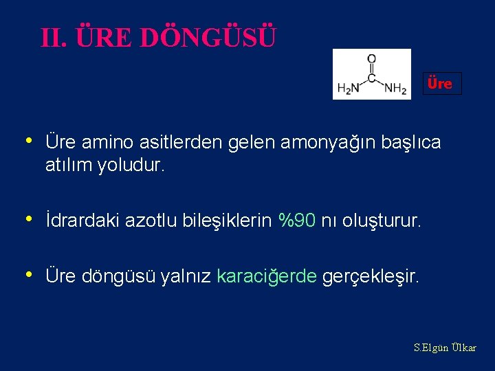 II. ÜRE DÖNGÜSÜ Üre • Üre amino asitlerden gelen amonyağın başlıca atılım yoludur. •