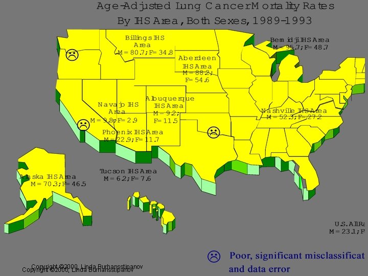 Copyright © 2000, Linda Burhansstipanov 