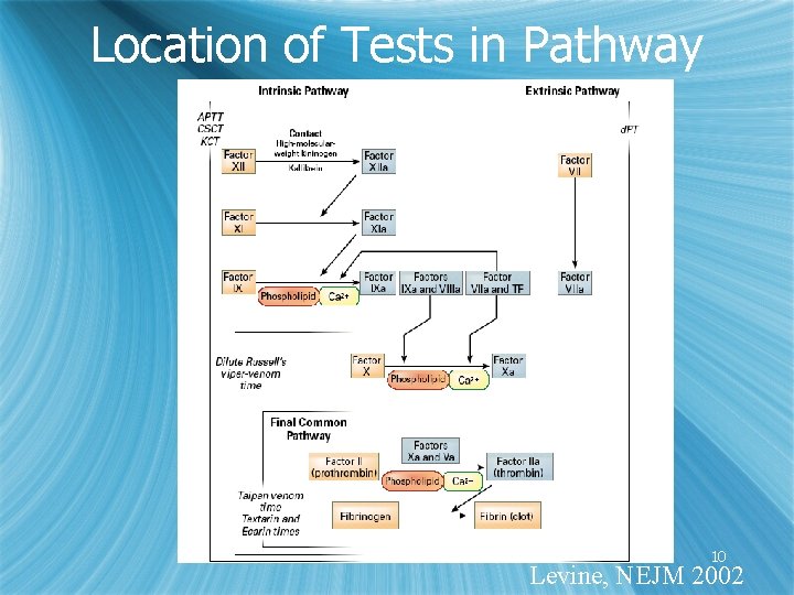 Location of Tests in Pathway 10 Levine, NEJM 2002 