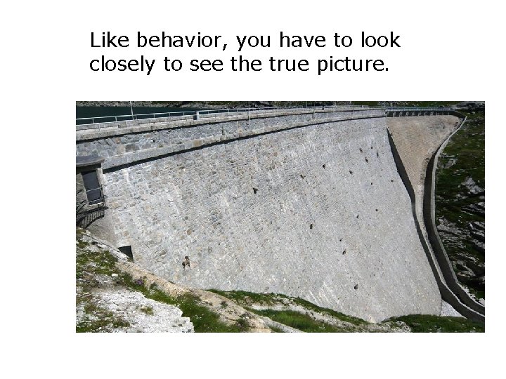 Like behavior, you have to look closely to see the true picture. 