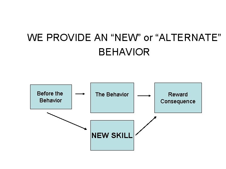 WE PROVIDE AN “NEW” or “ALTERNATE” BEHAVIOR Before the Behavior The Behavior NEW SKILL