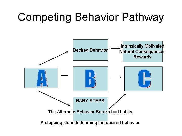 Competing Behavior Pathway Desired Behavior Intrinsically Motivated Natural Consequences Rewards BABY STEPS The Alternate