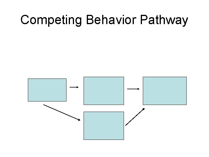 Competing Behavior Pathway 