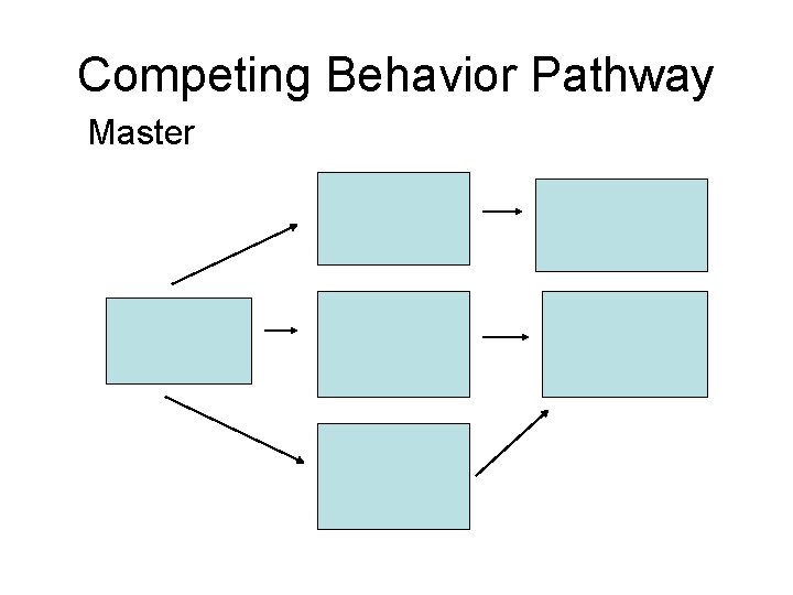 Competing Behavior Pathway Master 