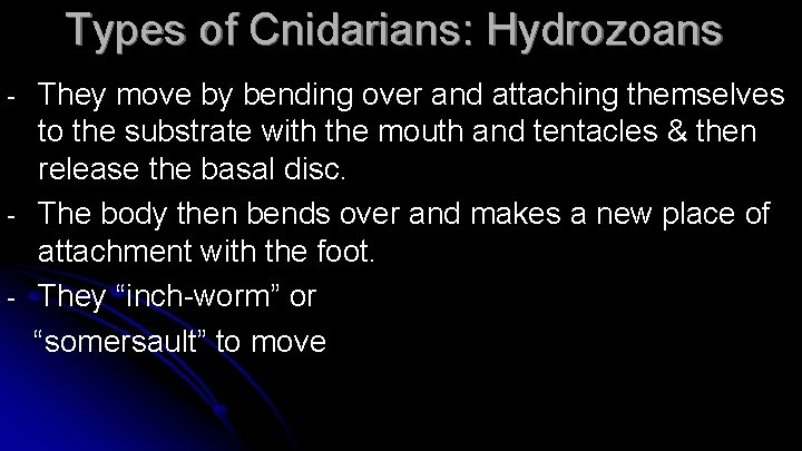 Types of Cnidarians: Hydrozoans - - They move by bending over and attaching themselves