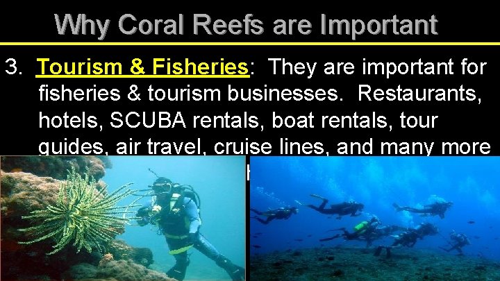 Why Coral Reefs are Important 3. Tourism & Fisheries: They are important for fisheries