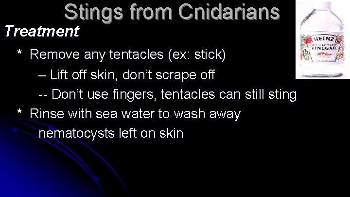 Stings from Cnidarians Treatment * Remove any tentacles (ex: stick) – Lift off skin,