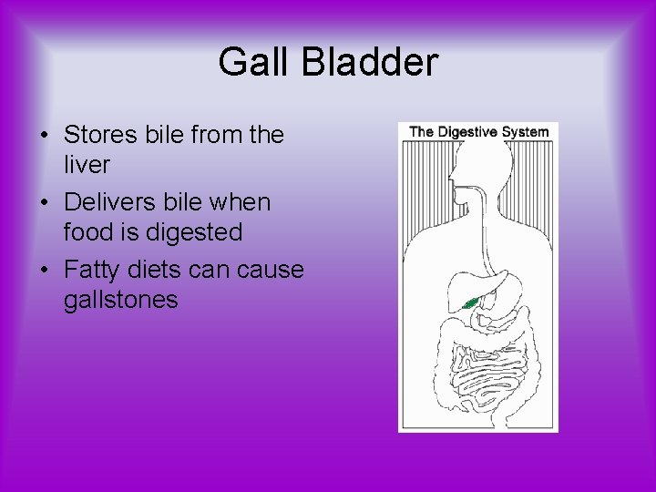 Gall Bladder • Stores bile from the liver • Delivers bile when food is