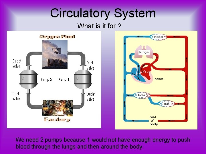 Circulatory System What is it for ? We need 2 pumps because 1 would